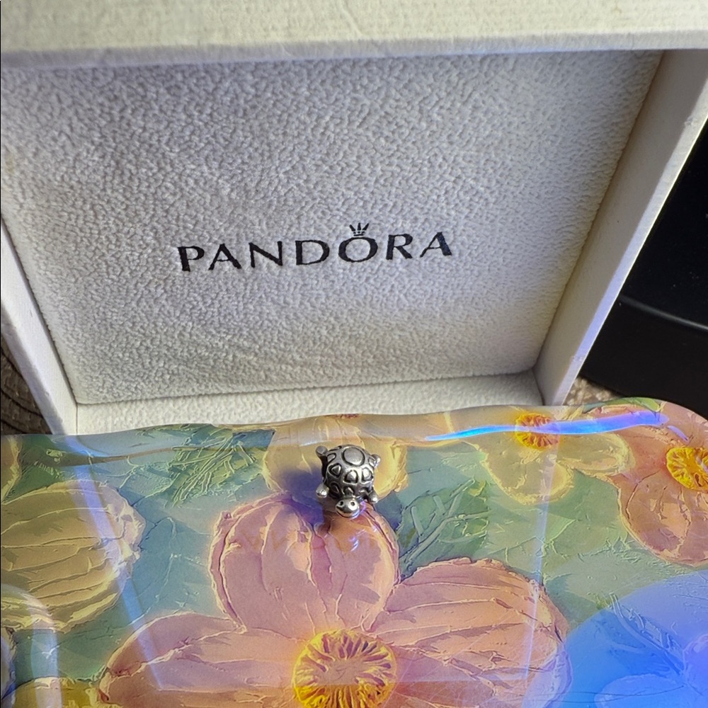 Pandora Silver Charm